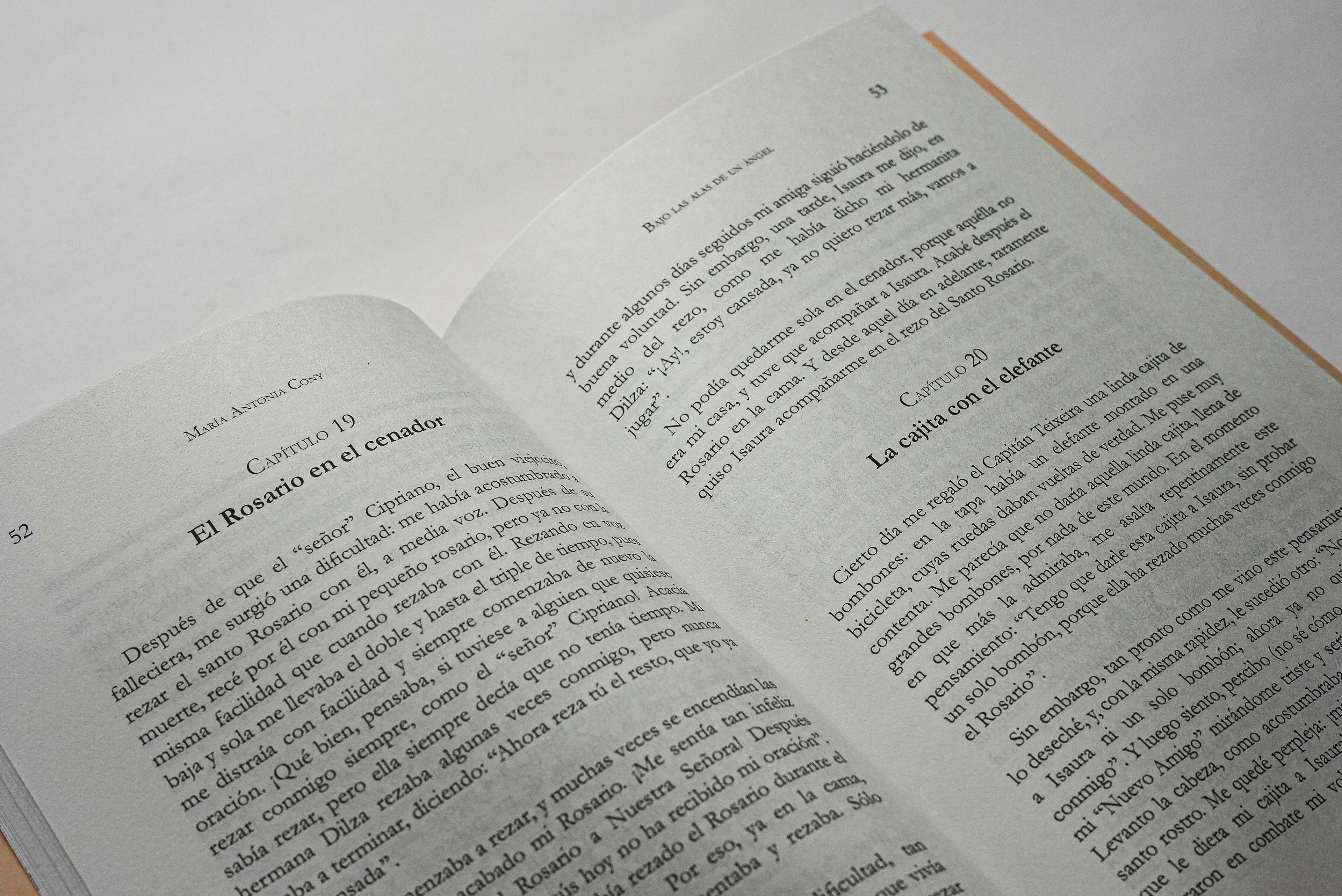 Bajo las Alas de un Ángel