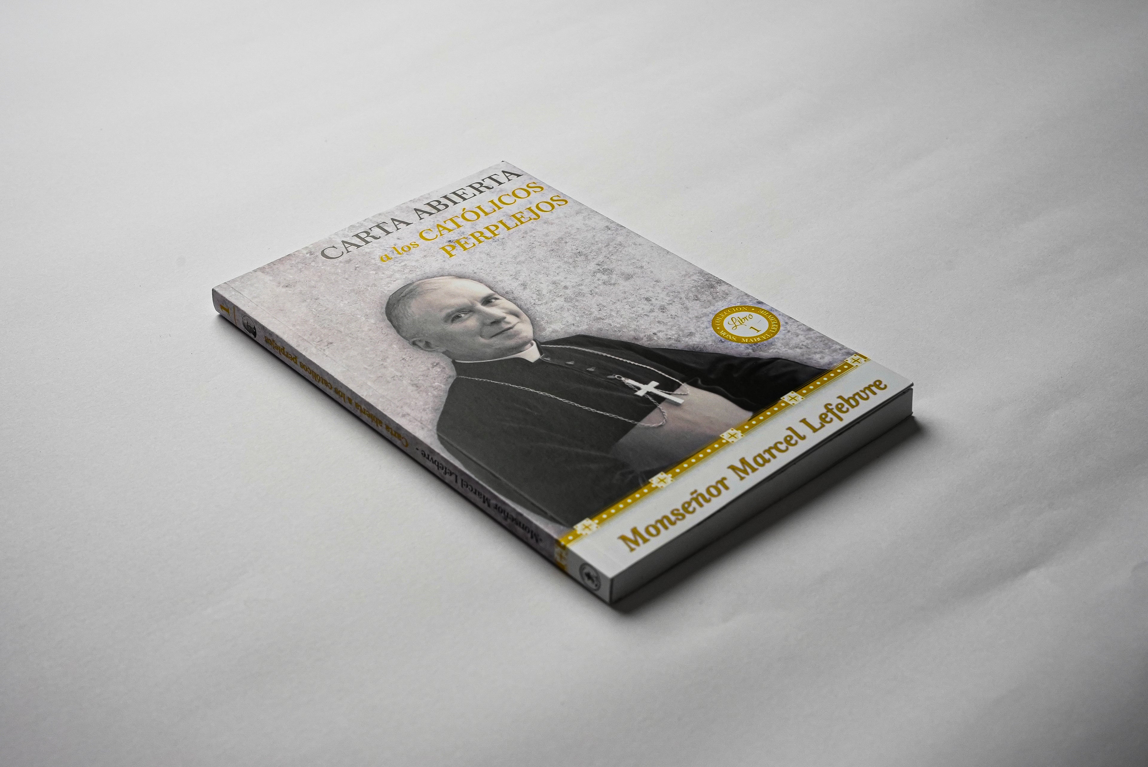 Carta abierta a los Católicos Perplejos