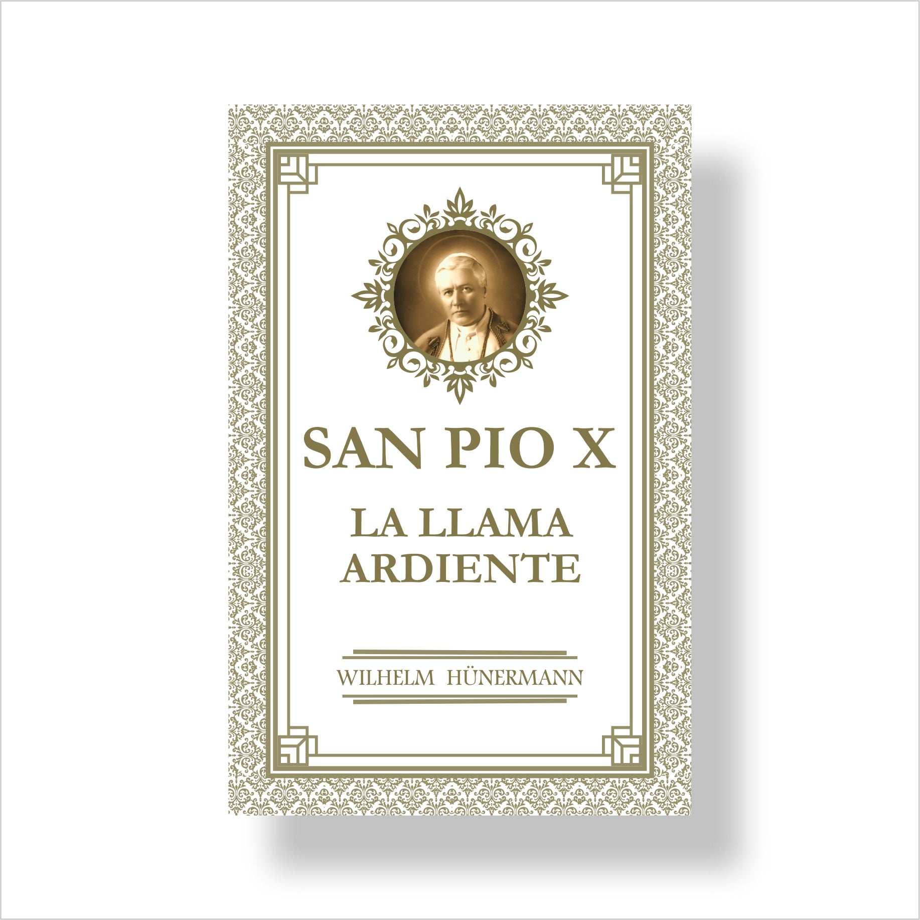 San Pío X. Una llama ardiente