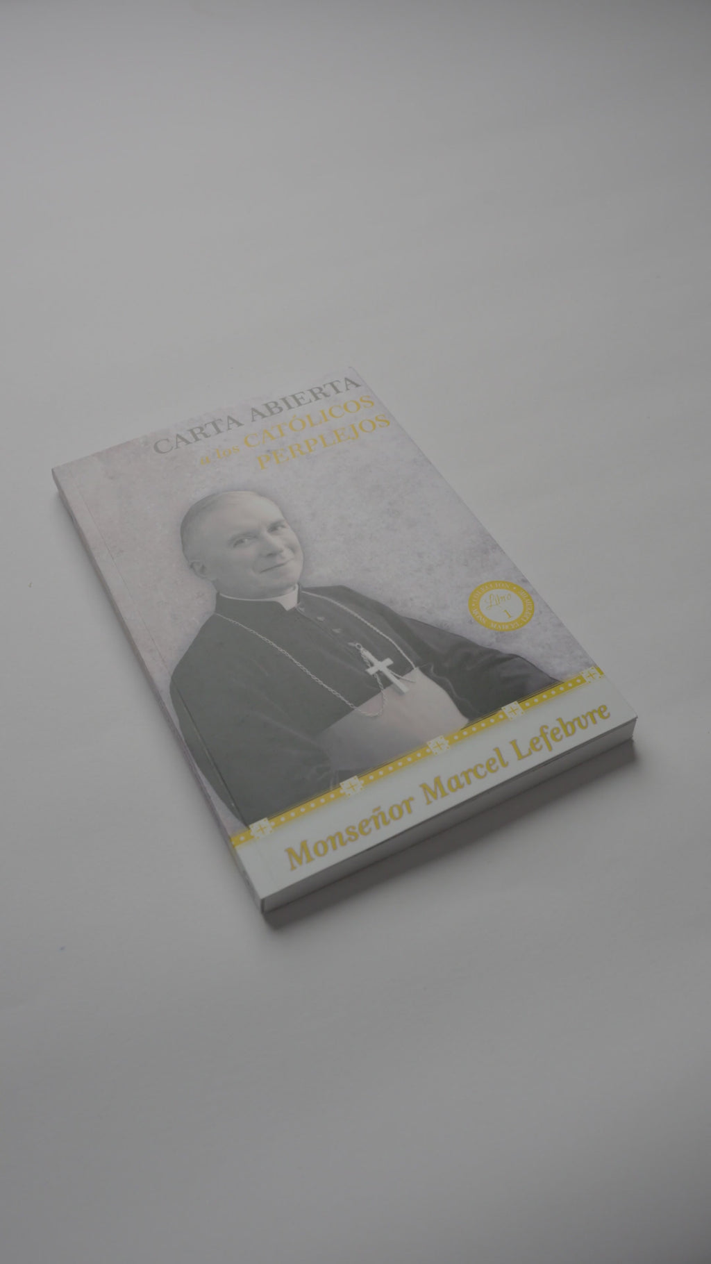 Carta abierta a los Católicos Perplejos